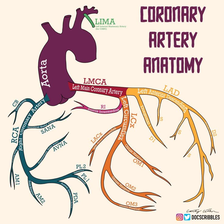 CT Coronary Angiography Cost in Delhi — From … — image 6