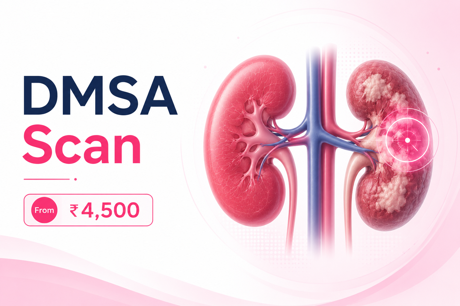 DMSA Scan Cost in Delhi — From ₹4,500
