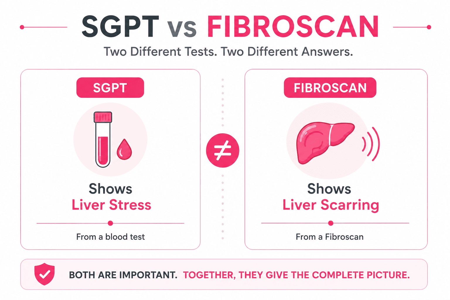 High SGPT and Fibroscan in Delhi High SGPT and Fibroscan in Delhi